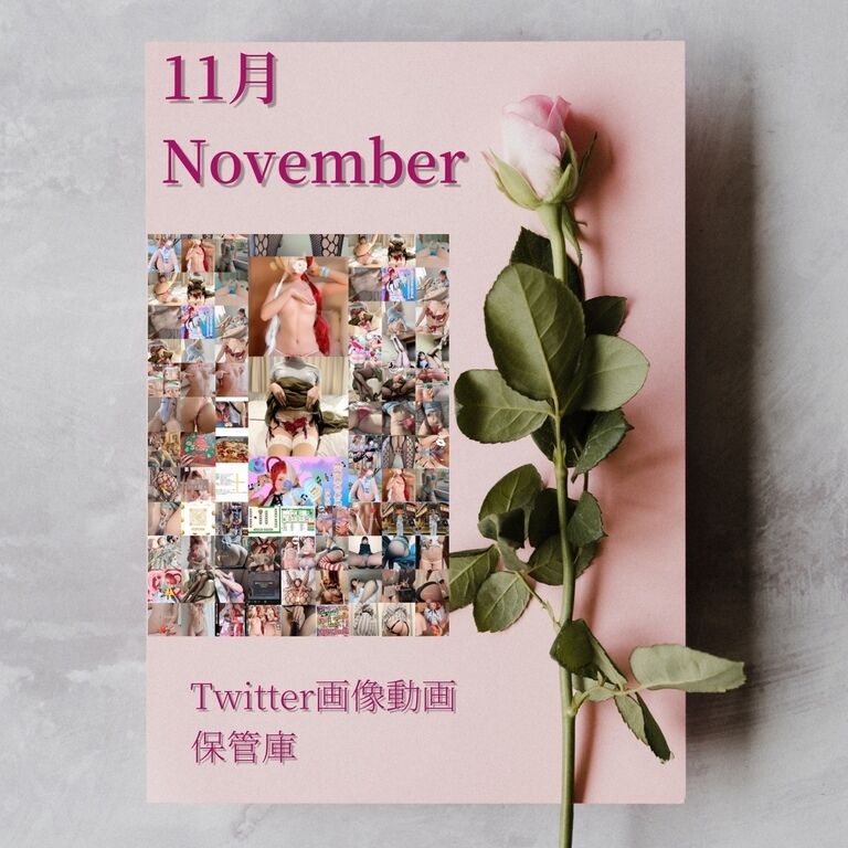 11月Twitter画像(73枚)、動画(6本)保管庫