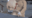 2022-12-07 00:00の投稿