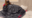 2022-12-08 17:34の投稿