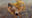 2019-05-29 20:13の投稿