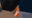 2022-12-16 00:00の投稿