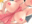 2022-12-18 17:00の投稿