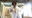 2022-12-15 20:00の投稿