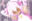 2022-12-17 20:00の投稿