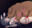 2022-12-20 00:00の投稿