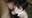 2022-12-20 19:00の投稿