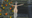 2022-12-21 00:00の投稿