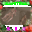 2022-12-25 18:00の投稿