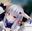2019-06-03 19:24の投稿