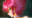 2022-12-30 15:00の投稿