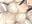 2023-01-05 17:00の投稿
