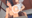 2023-01-03 00:01の投稿