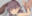 2022-12-31 09:24の投稿