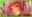 2019-06-09 20:31の投稿