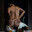 2023-01-03 12:00の投稿