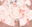2023-01-05 00:00の投稿
