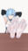 2023-01-06 00:26の投稿