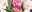 2019-06-11 20:17の投稿