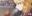2019-06-15 00:00の投稿