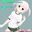2023-01-11 22:03の投稿
