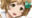 2023-01-14 09:00の投稿