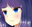 2023-01-15 21:00の投稿