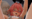 2023-01-17 00:00の投稿