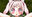 2023-01-19 01:54の投稿