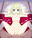 2023-01-20 07:21の投稿