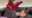 2023-01-20 20:12の投稿