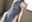 2019-06-18 18:42の投稿