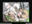2023-01-24 22:48の投稿