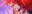 2023-01-28 16:25の投稿