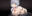 2019-06-25 23:01の投稿