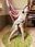 2023-02-15 12:00の投稿