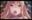 2019-07-02 23:49の投稿