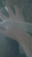 2019-07-03 18:57の投稿