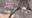 2023-02-22 00:00の投稿