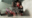 2023-02-23 09:37の投稿