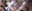 2023-02-28 22:10の投稿