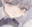 2023-03-01 12:00の投稿