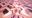 2019-07-09 03:16の投稿