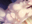2023-03-19 17:00の投稿