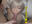 2023-03-22 12:00の投稿