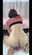2023-03-16 10:00の投稿