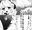 2023-03-25 00:00の投稿