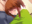 2023-04-10 17:00の投稿