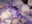 2023-04-13 17:00の投稿