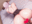 2019-07-19 17:31の投稿