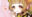 2023-03-24 20:32の投稿